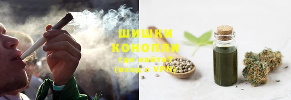 сатива Абаза