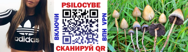 Галлюциногенные грибы Cubensis  KRAKEN tor  Краснозаводск 
