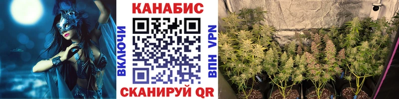 Каннабис семена  блэк спрут ONION  Краснозаводск 